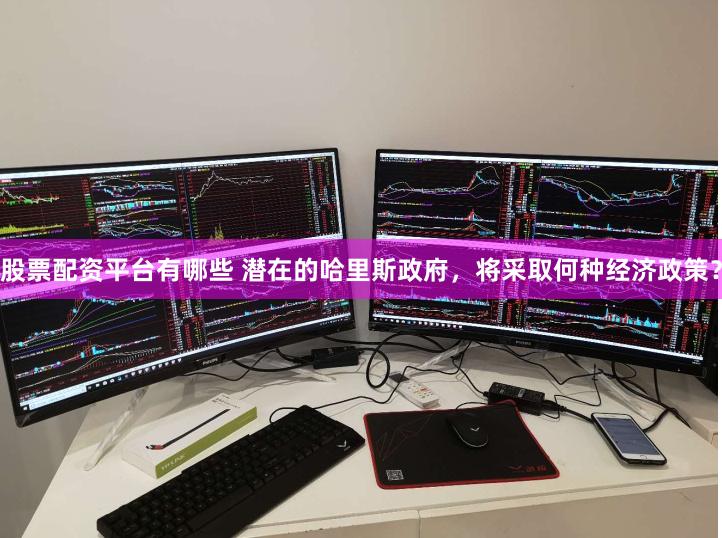 股票配资平台有哪些 潜在的哈里斯政府，将采取何种经济政策？