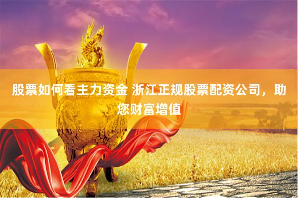 股票如何看主力资金 浙江正规股票配资公司，助您财富增值